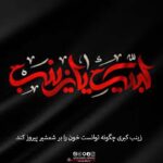 زینب کبری چگونه توانست خون را بر شمشیر پیروز کند